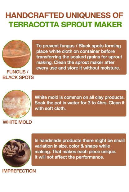 Terracotta sprout maker showing natural signs like black spots white mold and handmade imperfections with tips for cleaning and usage care.