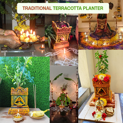Terracotta  Brindavan Tulsi Pot Multi Color (B * H - 8 * 11.5 inch)