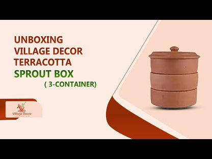 Earthen Clay Sprout Box (3 container)